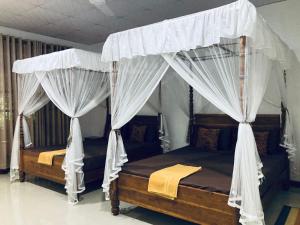 Woodholic Homestay