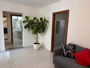 Casa Gioia -Appartamento con veranda vicino Marinella