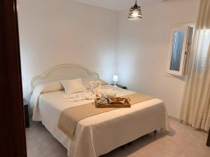 Casa Gioia -Appartamento con veranda vicino Marinella
