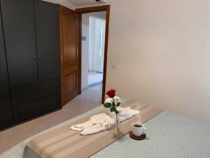 Casa Gioia -Appartamento con veranda vicino Marinella