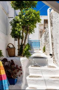 The Aegean Eleutheria-Tinos