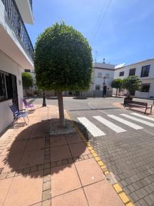 Ground Floor Beachfront Studio in Castillo Duquesa