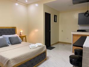 Ninth 22 Studio Suite