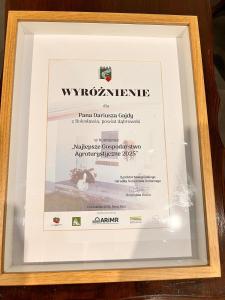 History of Bolesław