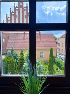 OLD TOWN Olsztyn