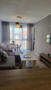 Apartament Grey