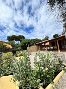 Villa Chloè img3