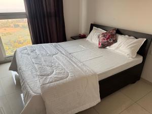 Aura Sky Suite