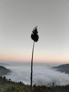 Dobhanay Homestay