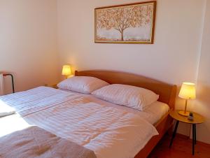 Vineyard cottage Tilka