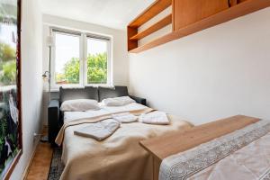 Oliwa Homely Apartment by BookingHost