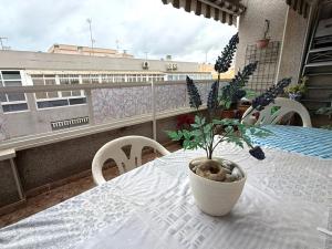 San Pascual Apartment with terrace