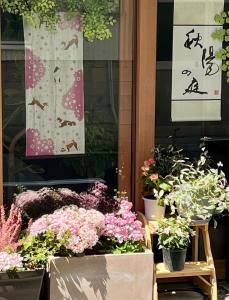 秋陽の庭YoungsGarden1LDK