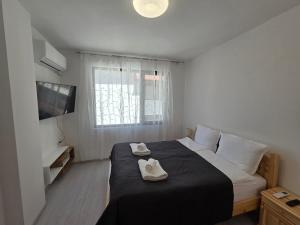 Apartment Aria 8