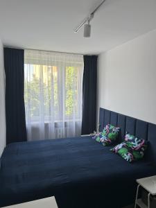 Apartament Drzymały