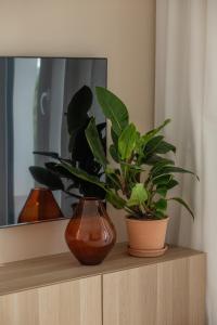 Oder View Apartment