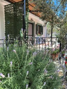 Elea Houses