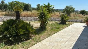 Oasi DellOfra - in the heart of the Murgia of Matera