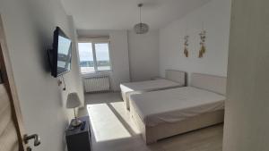 Mamaia Sunwaves 28