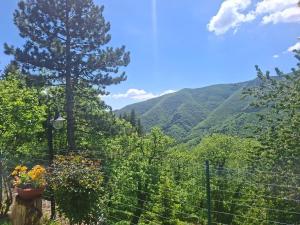 Albergo Ristorante La Selva