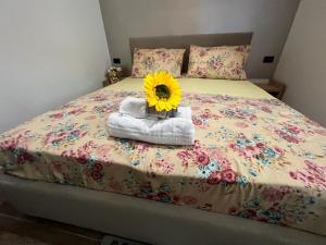 Apartament Indriti