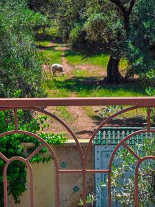 Villa Atlas Zitoun Ourika