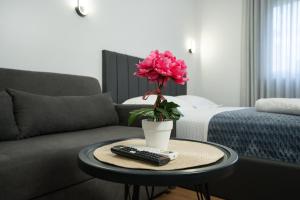 PALMA Studio Apartments