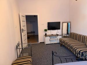 Apartament X