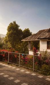 BeeGees Garden Farmstay,Vagamon,Elappara BBQ,Bonefire,Fishing