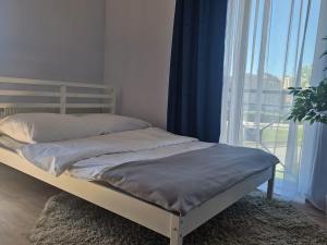 Apartament Kościuszki