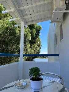 Maistrali Studios Skiathos