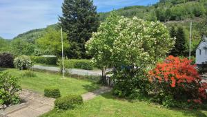 YALET Ferienhaus 2 appartementen vlakbij Willingen