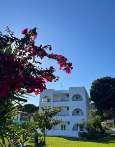 Maistrali Studios Skiathos