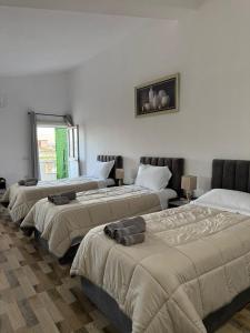 Daydream Villas