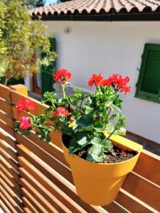 Casa Fiorita