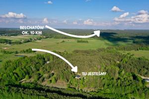 Leśny Reset