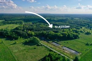 Leśny Reset