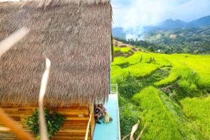 Bình Yên Farm