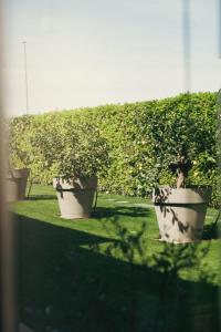 Casa Cordigero - Adults Only