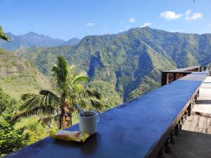 BATAD Simons Viewpoint Inn and Pizza Restaurant