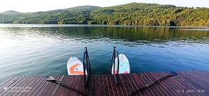 Omorika Perućac Splav