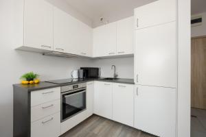 Modern Apartment with Parking and Balcony by Noclegi Renters