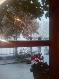 B&B Domus Deiana img25