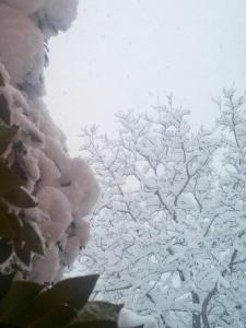 B&B Domus Deiana img24