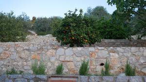 Olive Hill