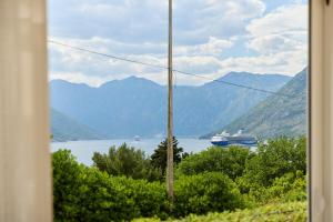 Symphony of the Kotor Bay Sea