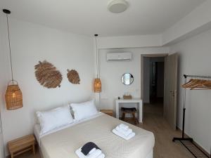 Eolia luxury houses Andros