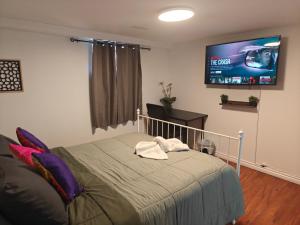 Spacious Basement Lower Suite 3BR Home Stay 1 King 2 Queen Beds 2 Car Parkings FIFA 2026
