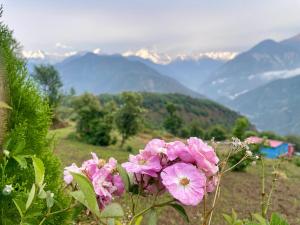 The Hills Inn Resort Guptkashi