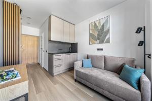 Central Svitrigaila Studio